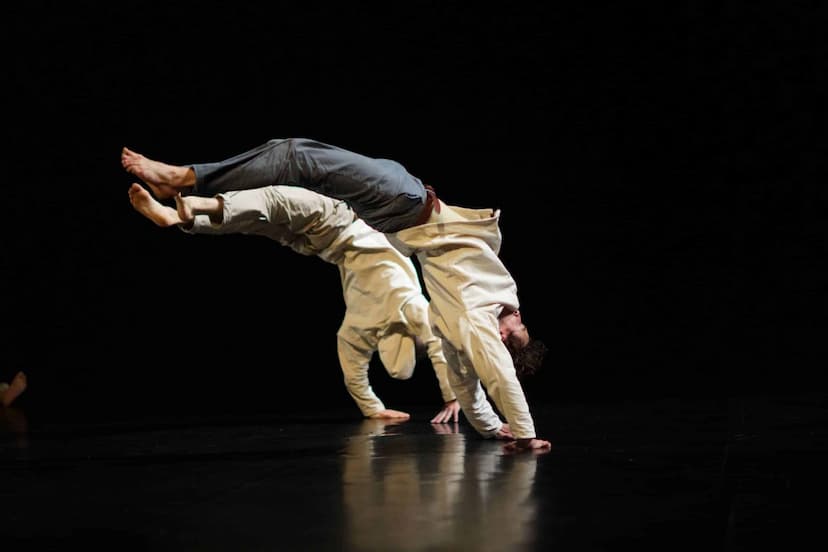 Seuil Sylvain Besson Compressed Scaled