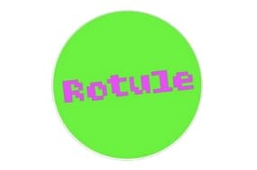 FESTIVAL ROTULE VERS LE FUTUR