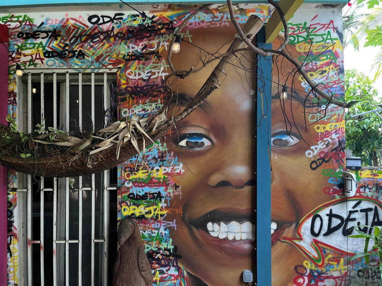 Carnet #6 - Guyane